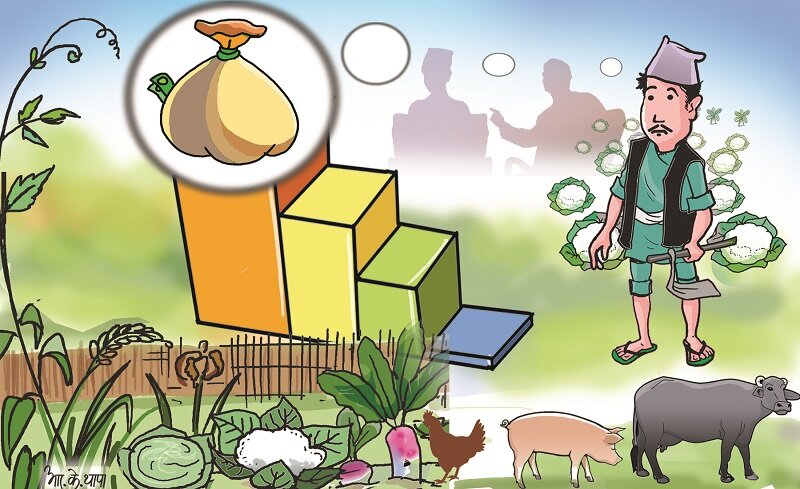 Agriculture prioritized in the declaration, but allocations cut: What it means for small farmers?