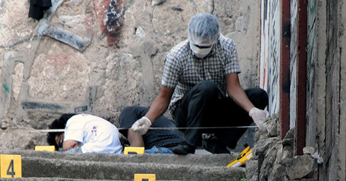 Bajo Aguán Massacre: 19 Dead amid Clash over Palm Plantations, Drugs and Land